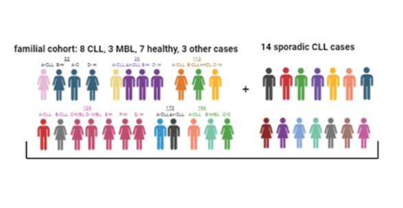 CLL-PID